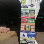 BACHE-FOIRE-3