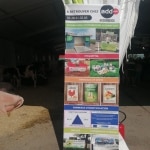 BACHE-FOIRE
