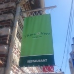 L-AME-O-VERT-1