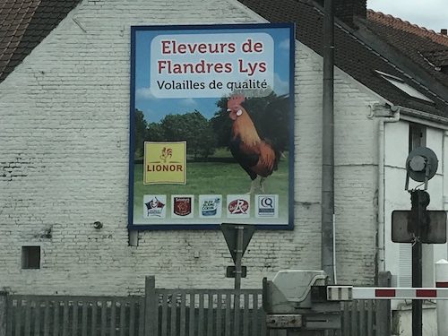 Affiche éleveur de Flandres