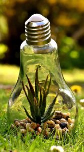 protection de l'environnement