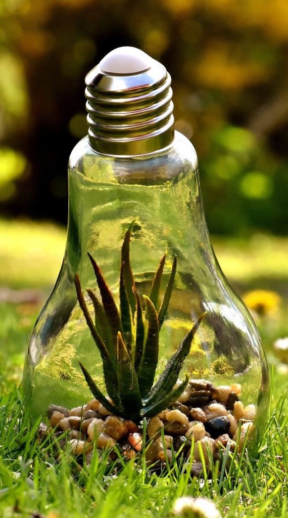 protection de l'environnement