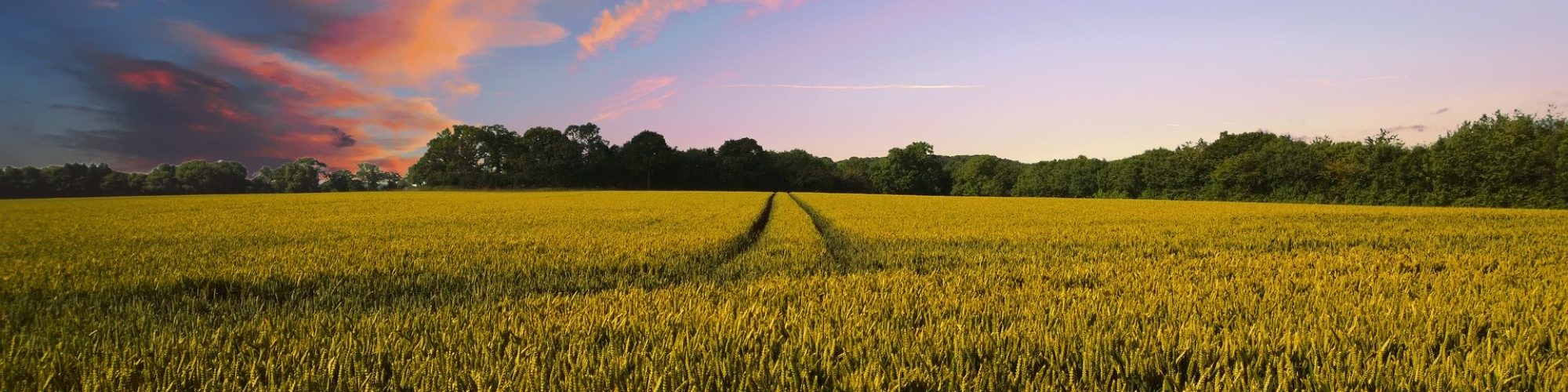 ADD Pub une entreprise à la campagne qui protège son environnement