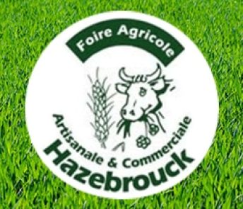 logo foire agricole